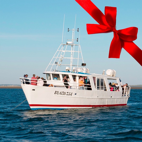 bon cadeau promenades en mer gironde vedettes la bohème