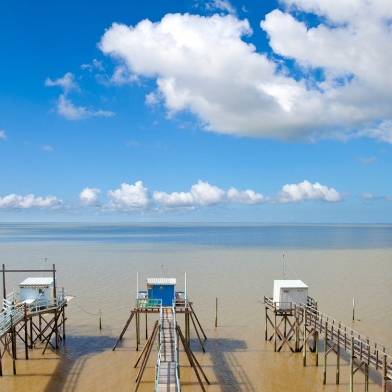 Promenades en mer et dans l'estuaire de la gironde Vedettes la Bohème